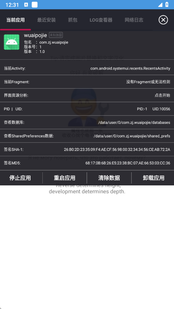 image-20241228003134590