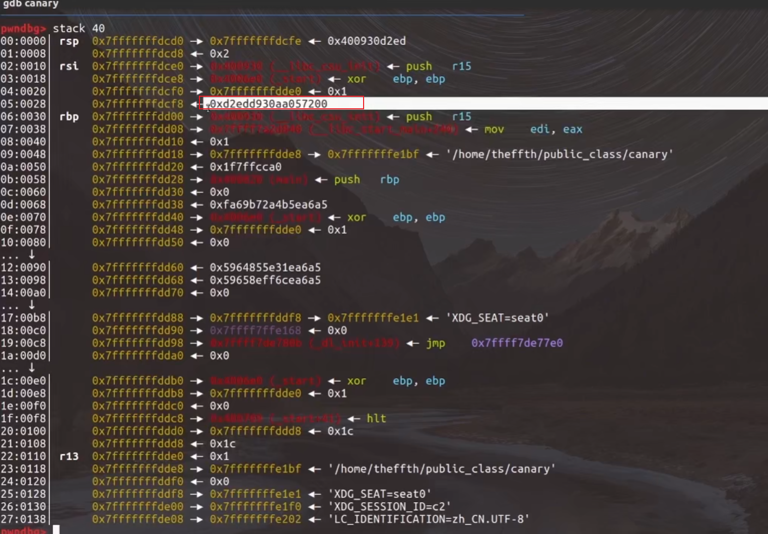 image-20241231100108475