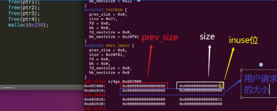 image-20250115170644110