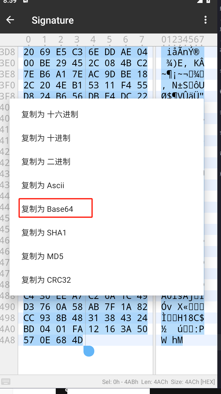 image-20250305205936266